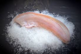 Steinbítur Heill - Fláður 