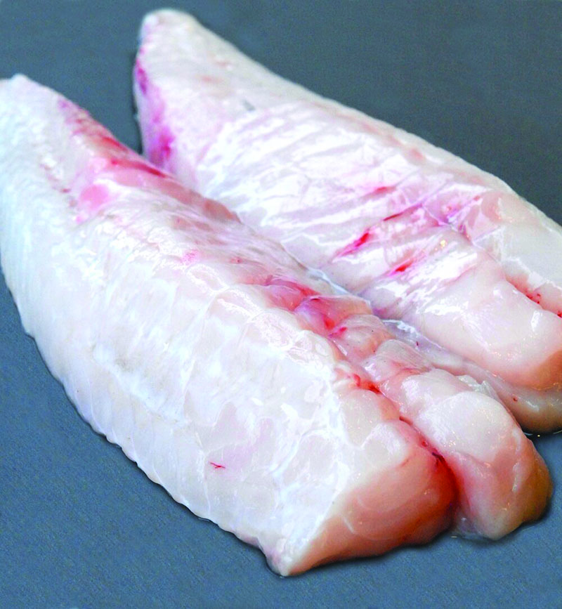 Fersk Skötuselsfilet - hreinsuð