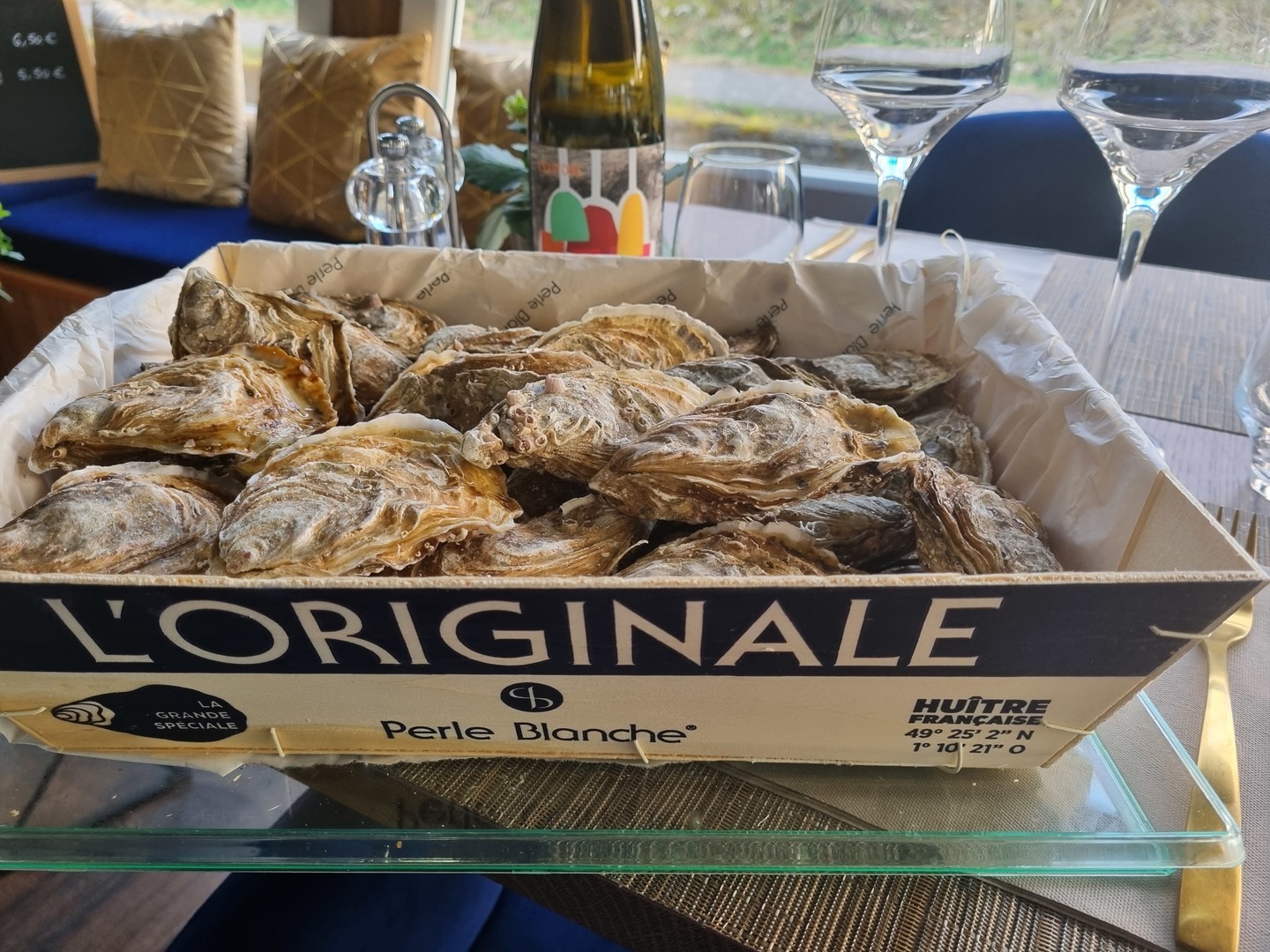 Perle Blanche (Ostrur)