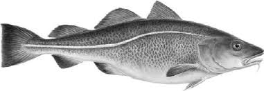 Royal þorskhnakkar 200gr