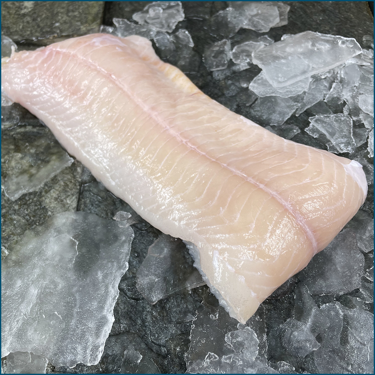 Fersk steinbítsflök